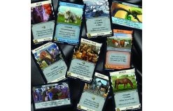 999 Games Dominion Menagerie Uitbreiding 5 999 Games Dominion Menagerie Uitbreiding -Bruder Winkel 1200x1200 7