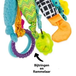 Lamaze Kapitein Kalamari 9 Lamaze Kapitein Kalamari -Bruder Winkel 1204631 2d49e05f