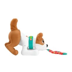 Fisher Price Fisher-Price 123 Kruip Met Mij Puppy -Bruder Winkel 1991234 1b32863f