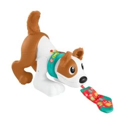 Fisher Price Fisher-Price 123 Kruip Met Mij Puppy -Bruder Winkel 1991234 da00e889