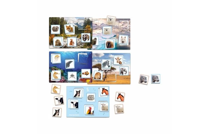 Clementoni Leerspel Waar Leven Ze 4 Clementoni Leerspel Waar Leven Ze - Afbeelding 4